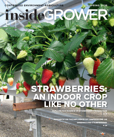 A CEA Crop Like No Other